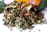 ladys mantle dried herb